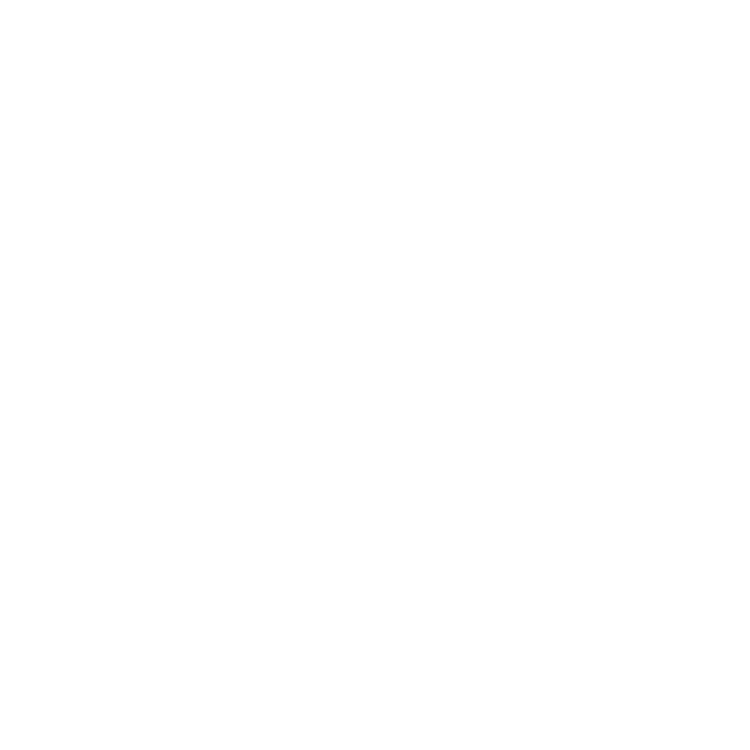 LooseWheels circular wheel logo